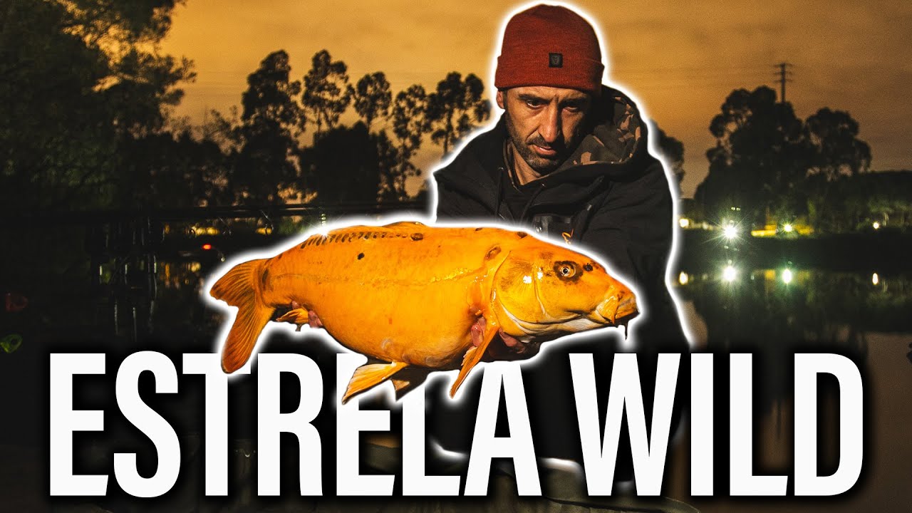 ESTRELA WILD.  ***CARPFISHING TV***
