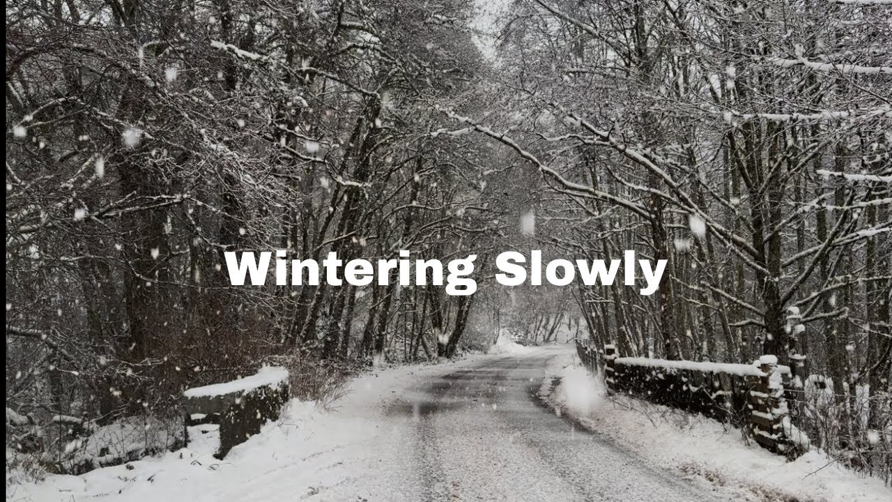 Wintering Slowly - Be Kind To Yourself 