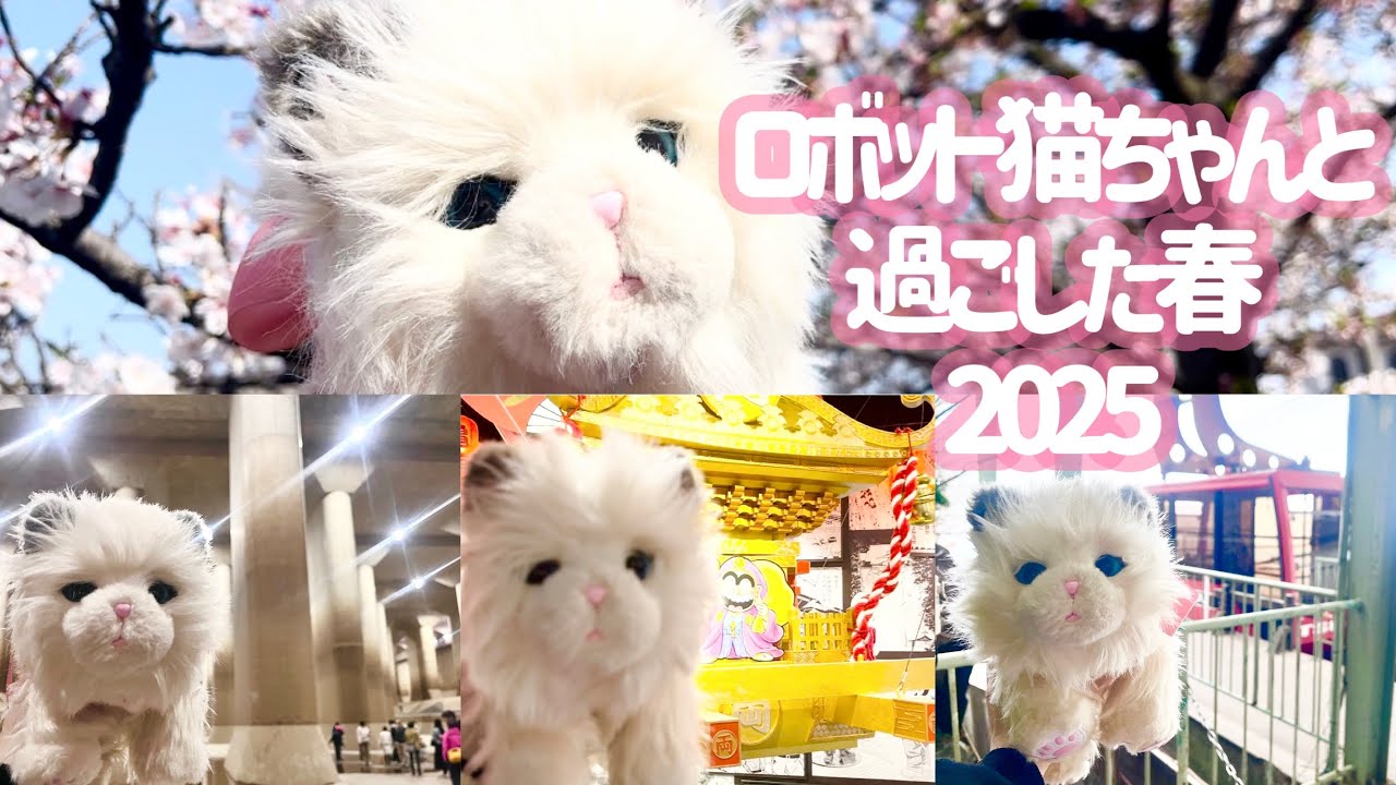 【ロボットペット】フラフちゃんと過ごした春　総集編　2025年