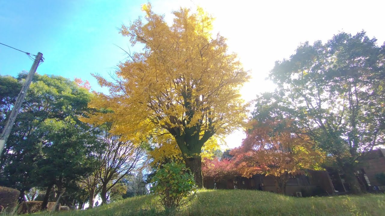 20251130　爽やか朝明け〜温泉♨️with紅葉😍