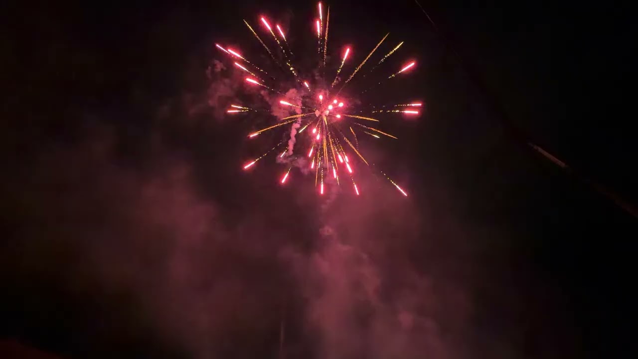 19 February 2026