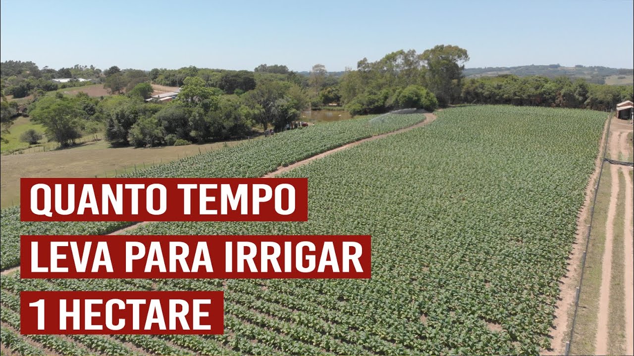 Quanto tempo leva para irrigar 1 hectare