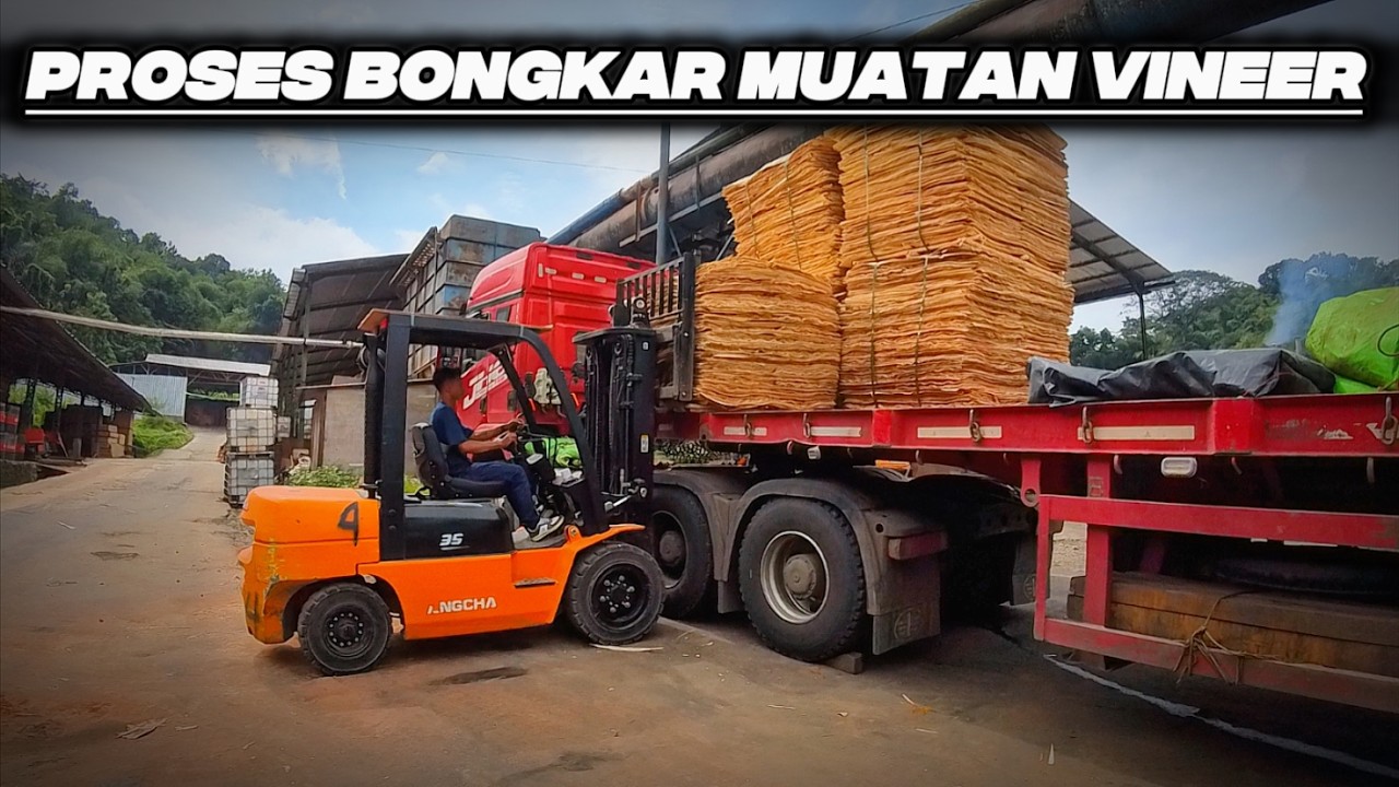 Proses Bongkar Muatan Vineer