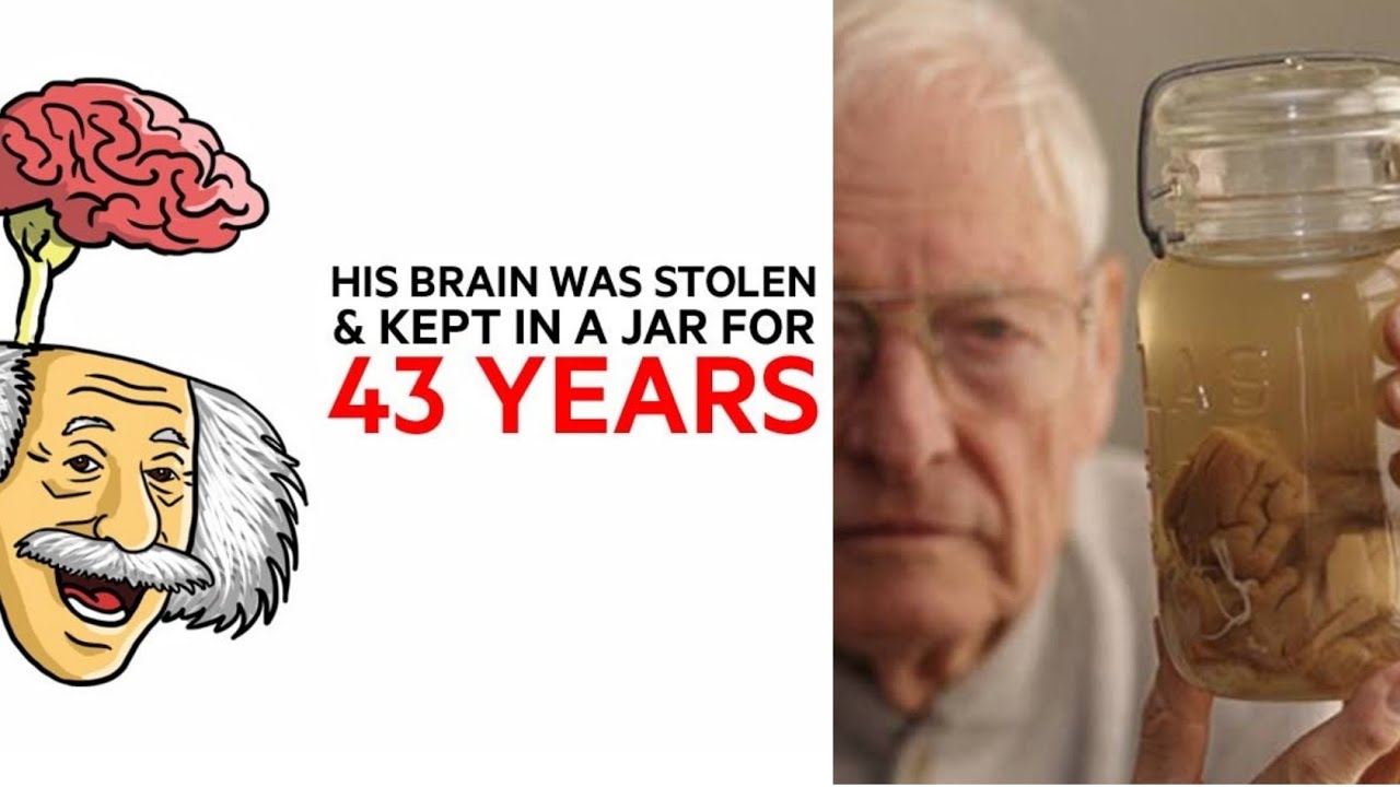 This guy stole Einstein's Brain *kept for 43 years*
