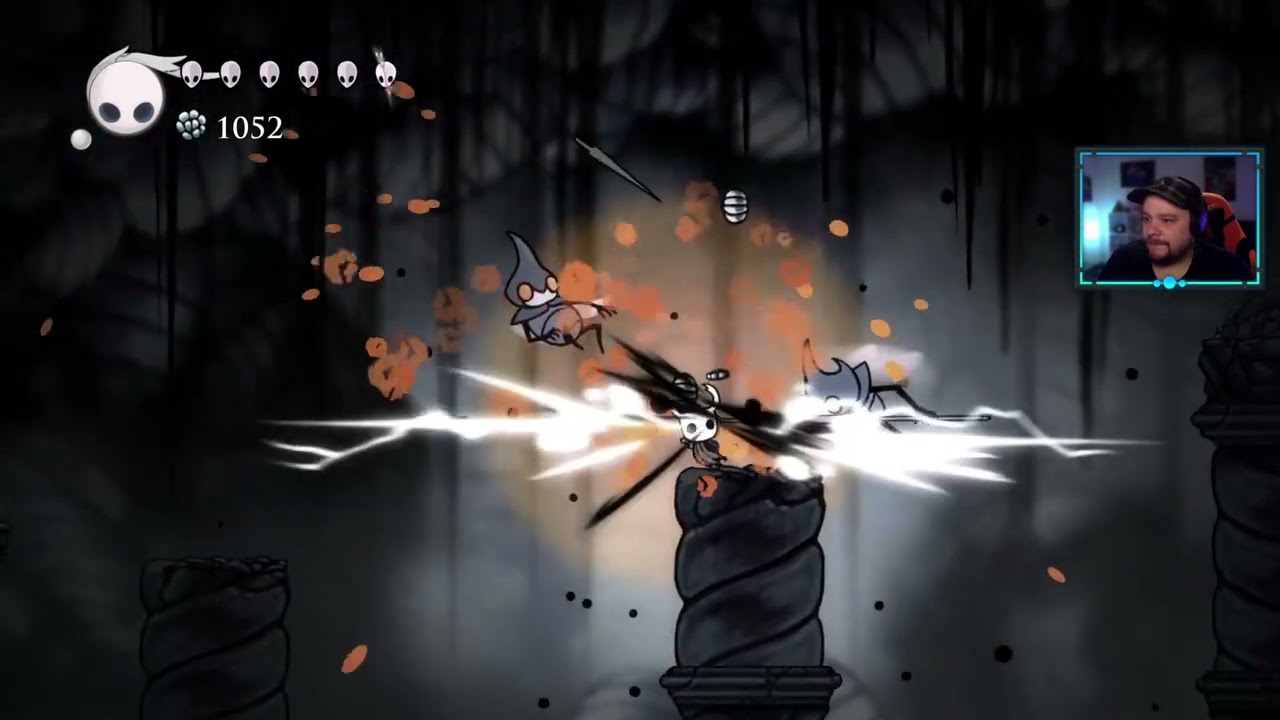 Hollow Knight   9