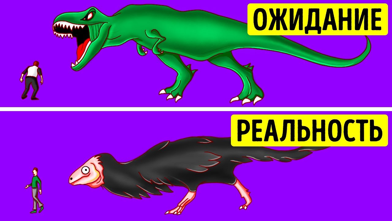 Как на самом деле выглядели динозавры и другие интересные факты для самых умных