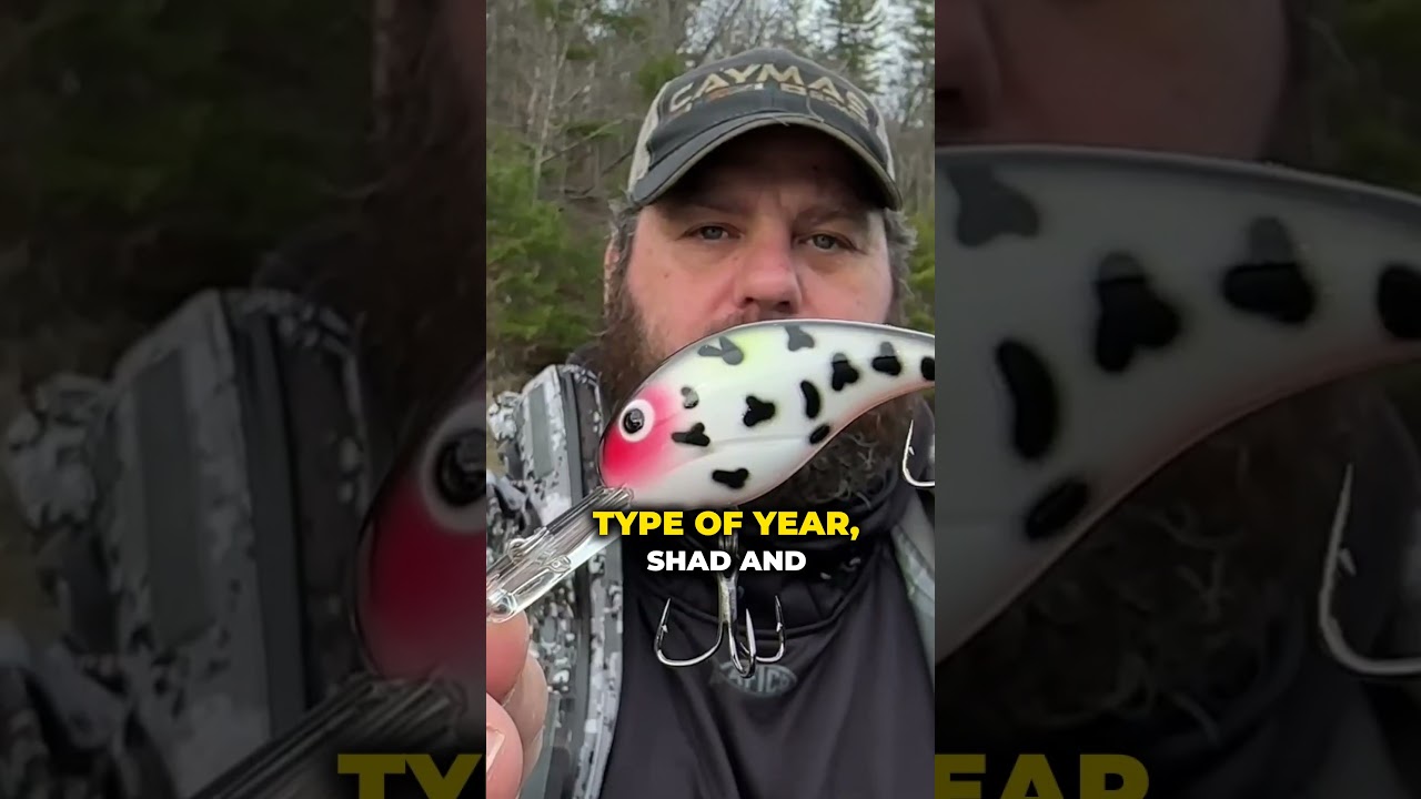 Winter Crankbait Selection