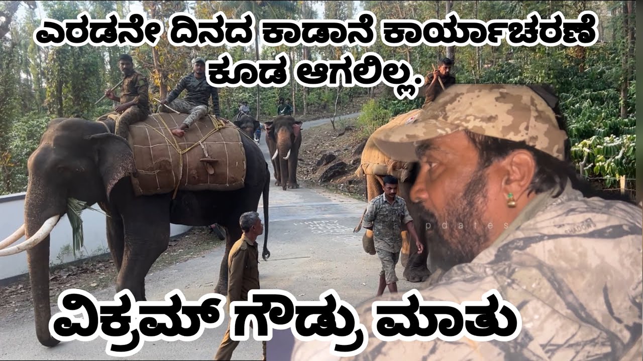 ಕಾಡಾನೆ ಕಾರ್ಯಾಚರಣೆ ಎರಡನೇ ದಿನ ಕೂಡ ಆಗಲಿಲ್ಲ , ವಿಕ್ರಮ್ ಗೌಡ್ರು ಮಾತು | Wild elephant Vikram Gowdru 