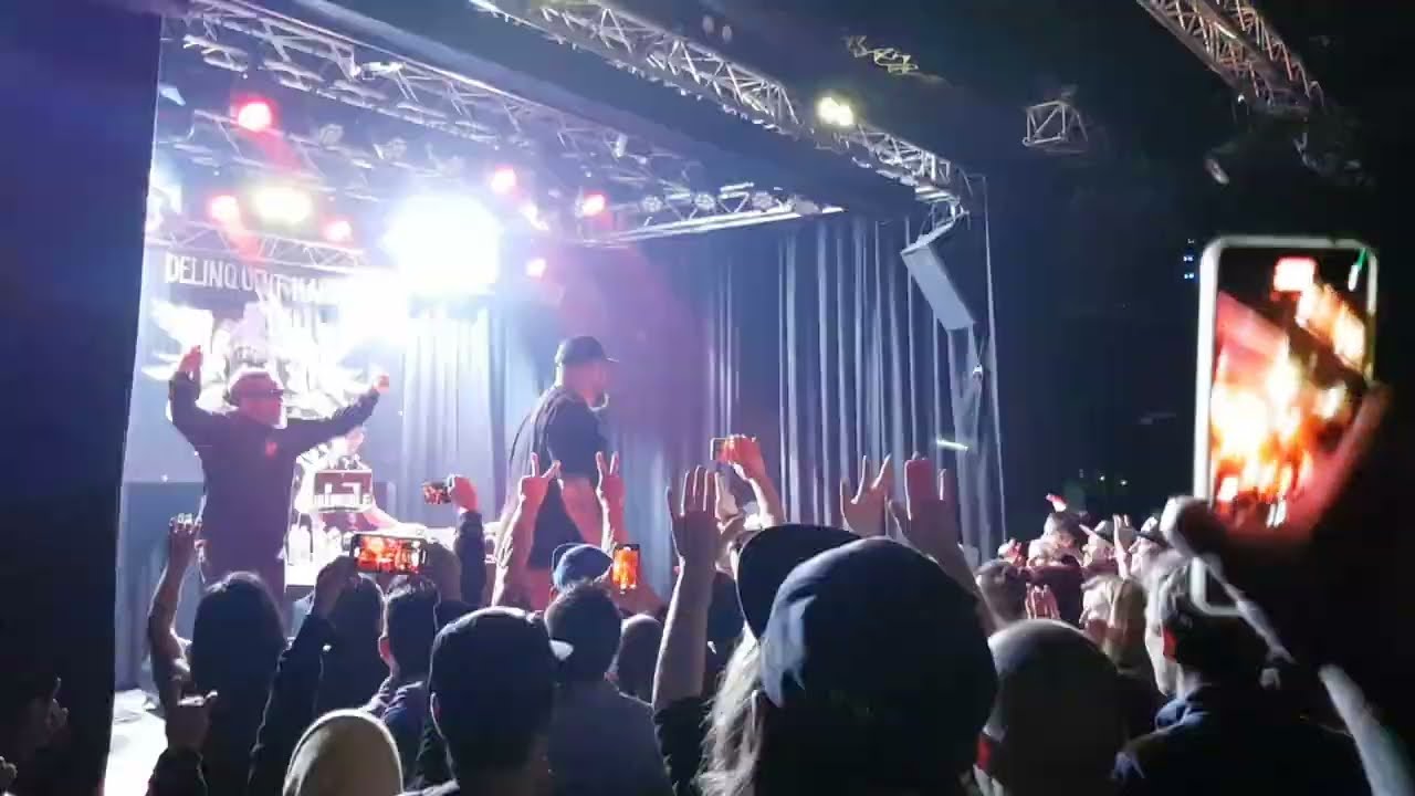 Delinquent Habits - Freestyle (Seven Nation Army) (Live, Dynamo, Zürich, 20.1.2023)