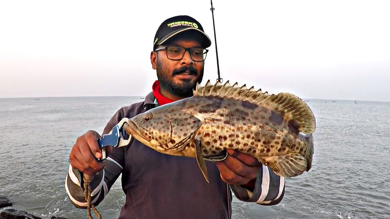 നമ്മൾ ഇങ്ങനെ ചെയ്താൽ മറ്റുള്ളവർ അത് ശീലമാക്കും || psycho angler || grouper fishing kerala harbour...