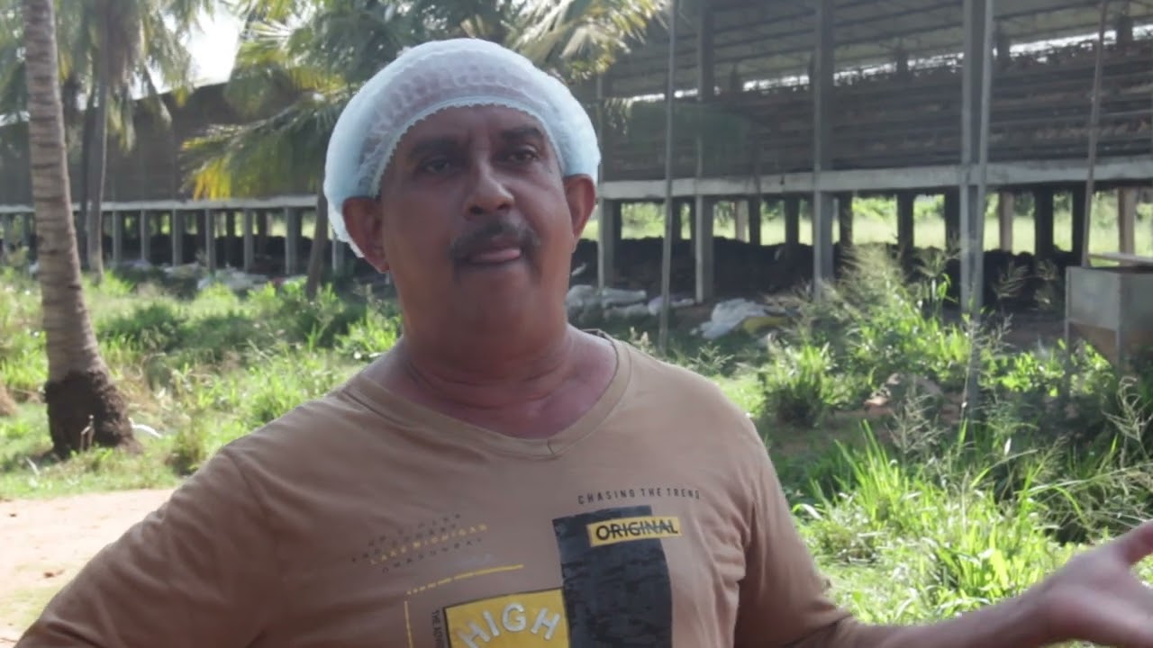 Poultry Production Business Case - Buddima Group