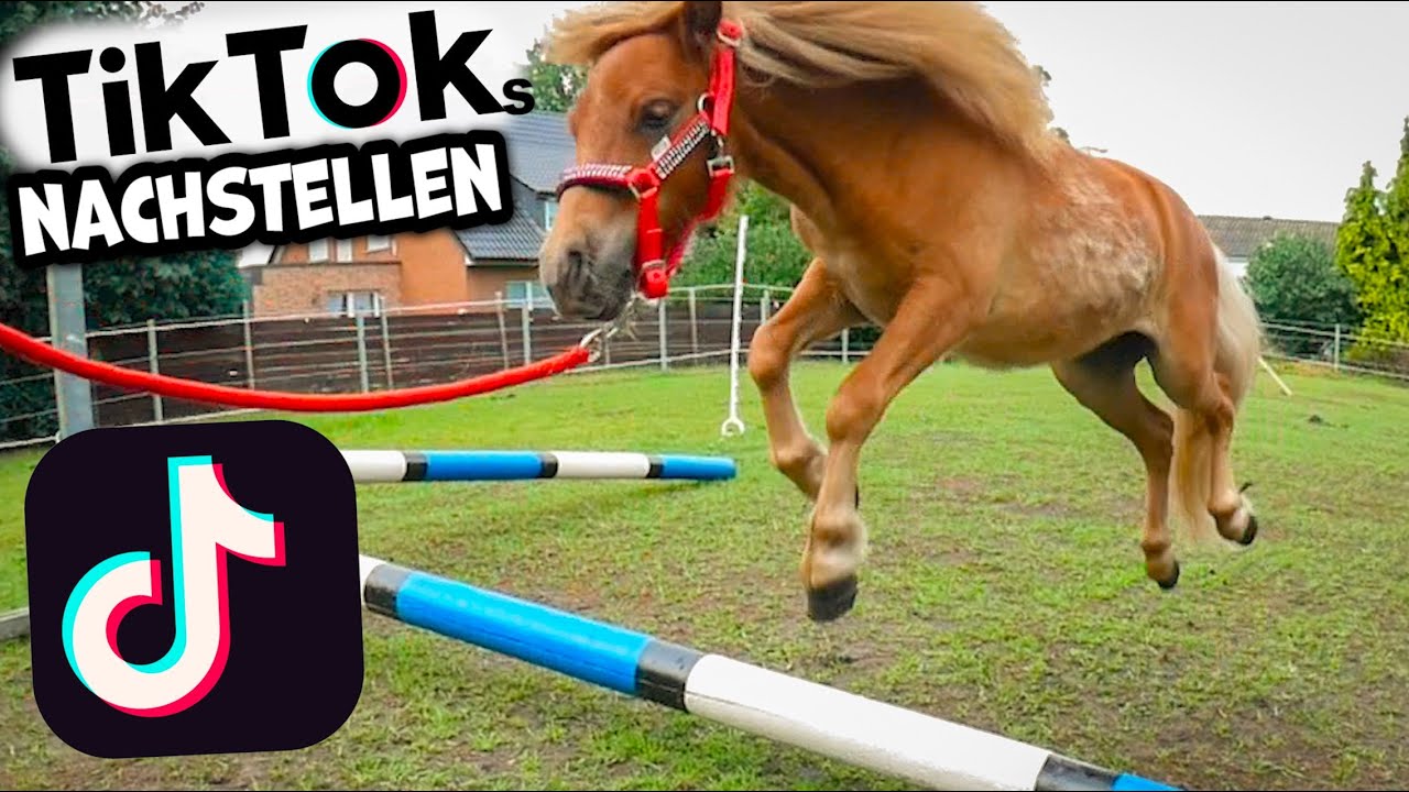 PFERDE TIK TOK s nachstellen ✮ mit Hey Horse Lea ♥ und mit auch einigen Fails :)