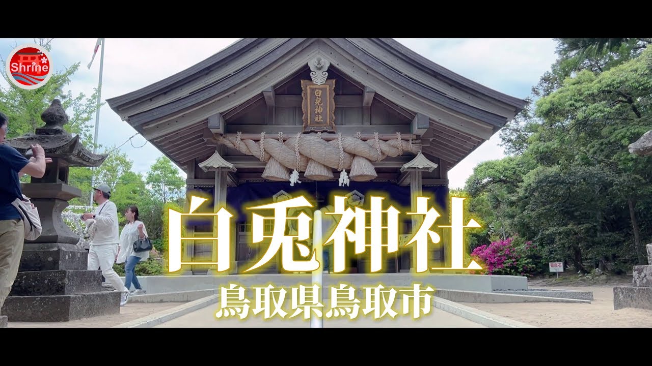 【全国神社巡り】白兎神社/鳥取県鳥取市/かわいいうさぎの石像が出迎えてくれる神話の里の神社