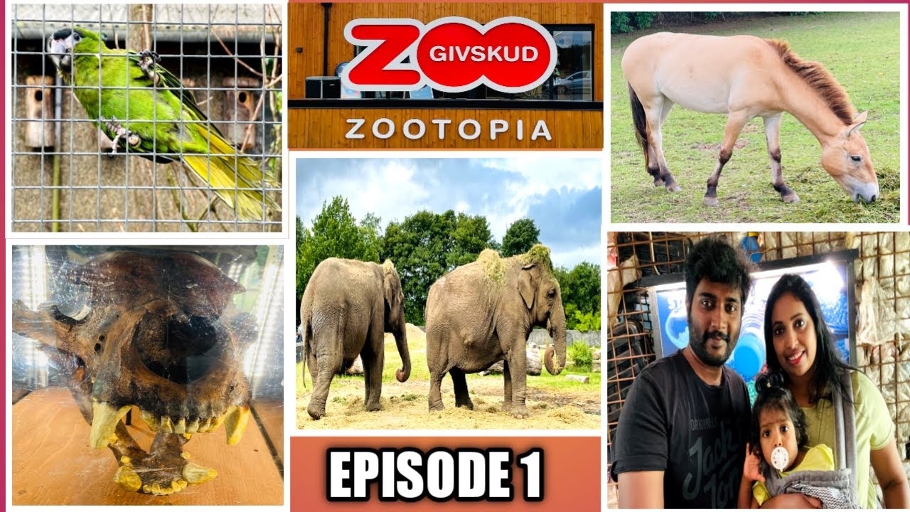 Givskud Zoo | Denmark | Animals from all over the world | Must visit places in Denmark | EP 1