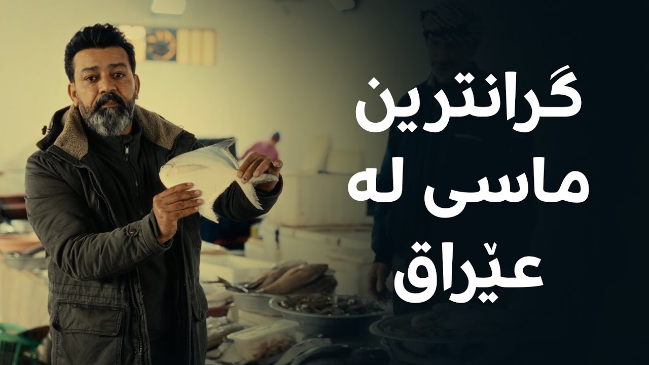 باژۆ.. لە فاو گرانترین ماسی و رۆبیانی عێراق تاقی دەکەینەوە