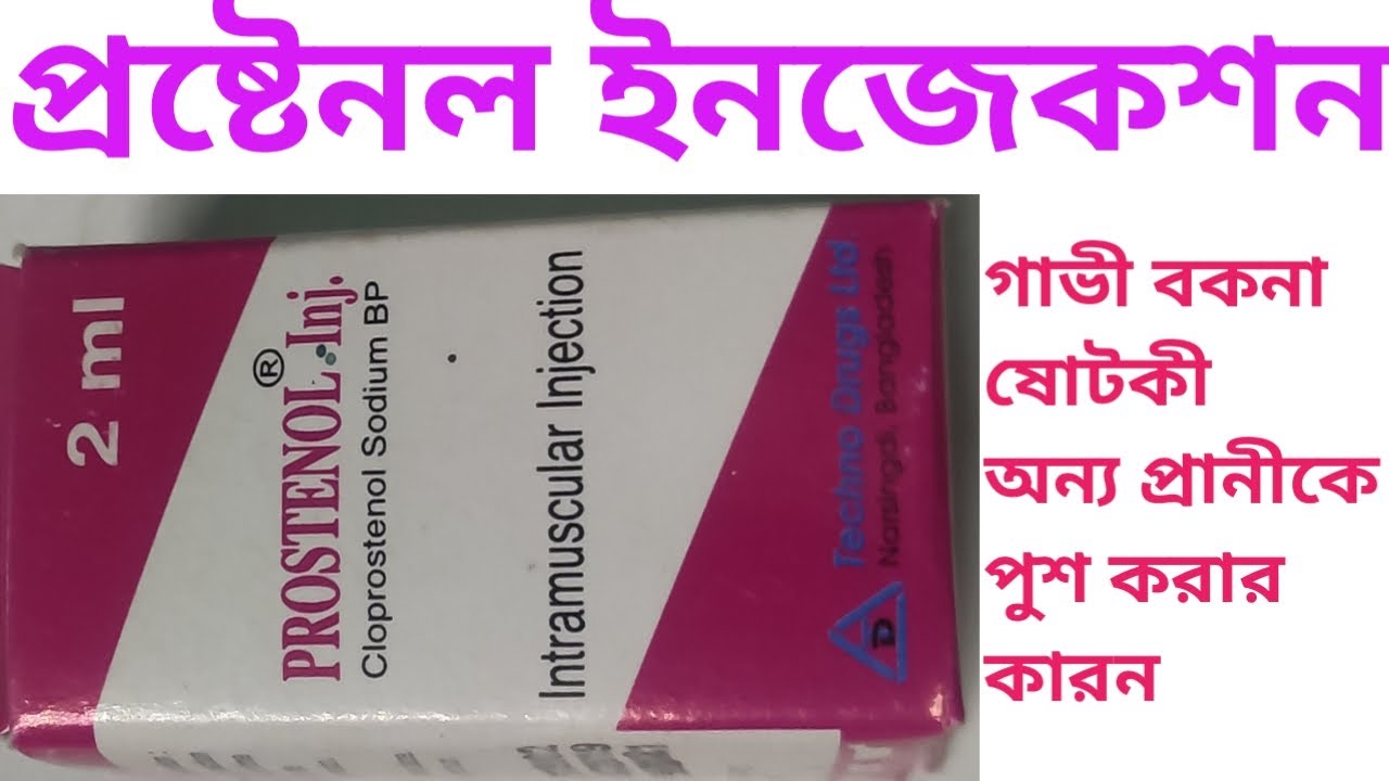 prostenol injection গাভী বকনা ষোটকীকে কেন পুশ করতে হয়