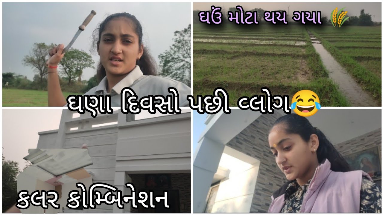 ખેતરમાં આટો મારવા🤗||ઘઉં મોટા થય ગયા🥰||કલર કોમ્બિનેશન નવા ઘરમાં| village vlog | farming vlog | desi