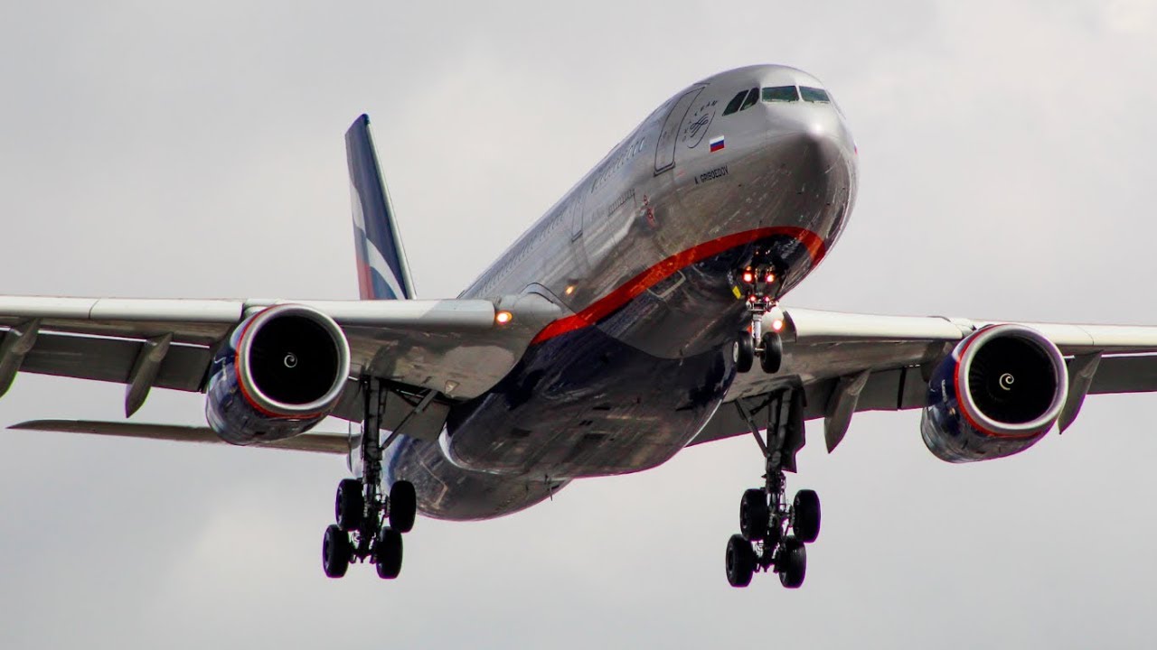 Plane Spotting at Los Angeles LAX! | In N' Out, Imperial Hill, and MORE!