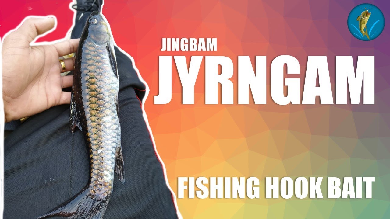 U jingbam dohkha ba jyrngam || The best green fishing hook bait you you should try ||
