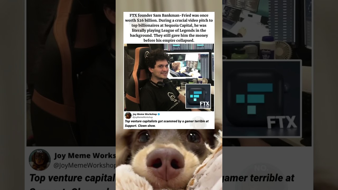 I Can't Believe Top Billionaires Funded This Gamer 🤯 #memes #funny #pets