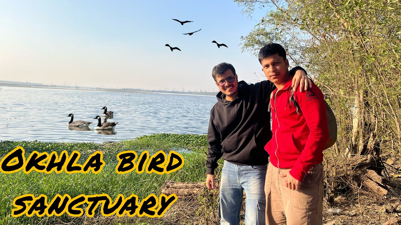 Okhla bird sanctuary 