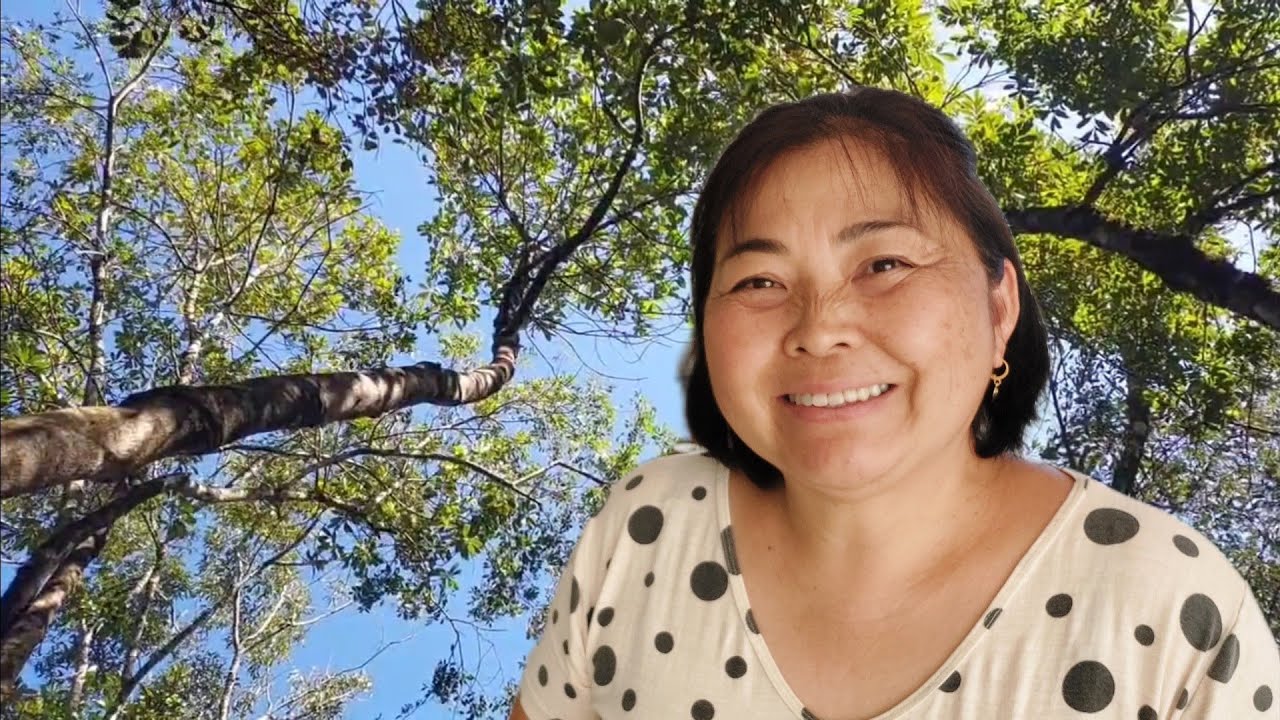 MOMENTOS DA NATUREZA NA CHÁCARA VERDE MIDORI | vídeo relaxante