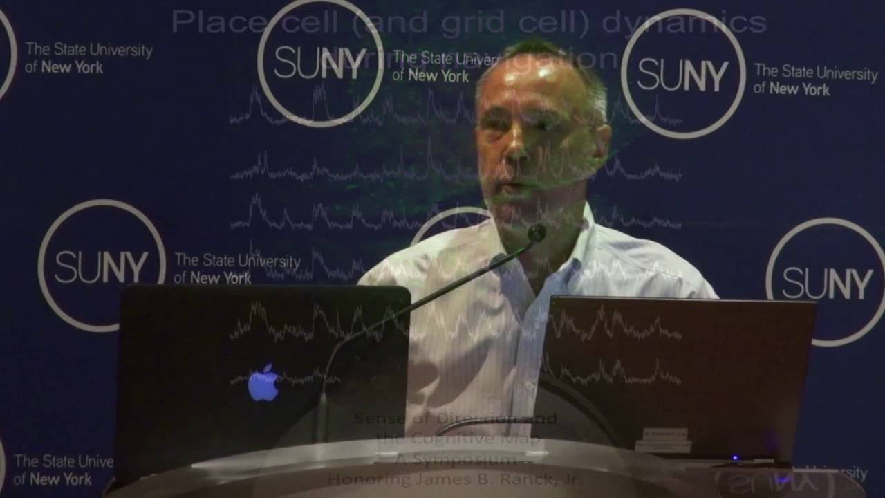 David W  Tank, PhD – Place Cell Dynamics During Navigation