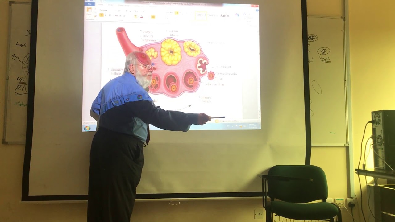 General embryology 5 ( Development of follicular cells  ) , by dr. wahdan