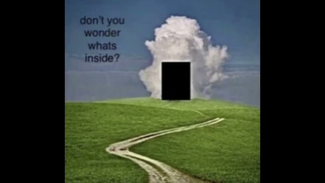 slipping through the cracks of a reality that isn't my own