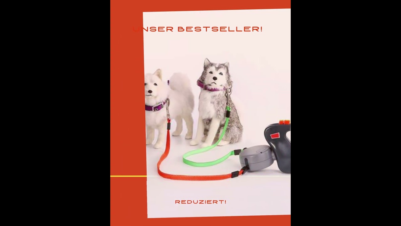 Doppelautomatik Leine f&uuml;r Hunde Hundeleine Doppelleine