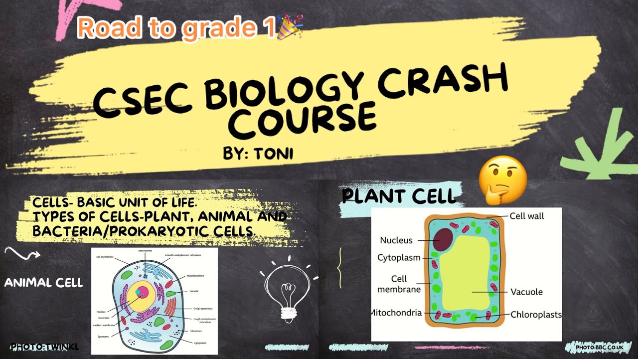 CSEC Biology Crash Course 2026: Road to grade 1