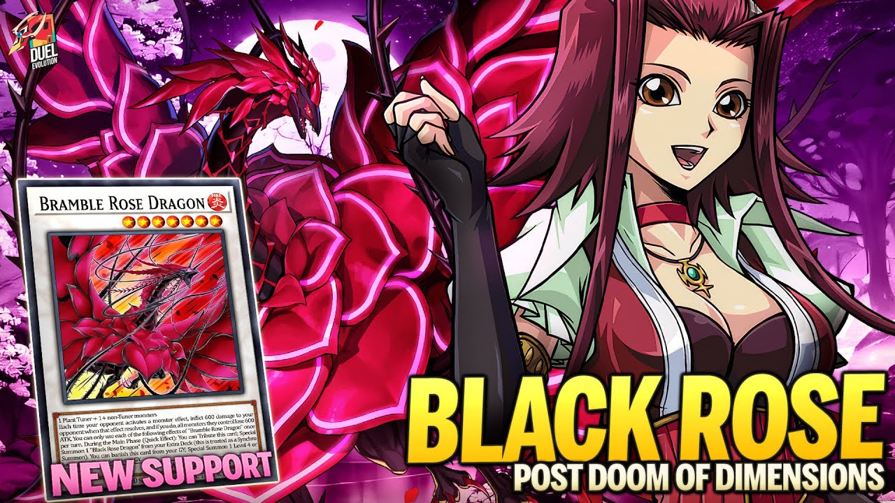 Deck Black Rose Dragon Post Doom of Dimensions |MDPRO3| Replays 🎮 + Decklist ✔️