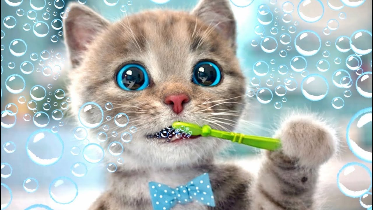 CUTE LITTLE KITTEN ADVENTURE OF A LITTLE CAT 🐱 ✨ Fun Pet Care & Best Learning cartoons for babies