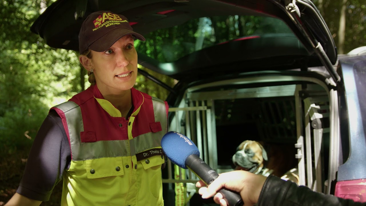 Rettungshunde im Einsatz: reales Training der ASB-Hundestaffel