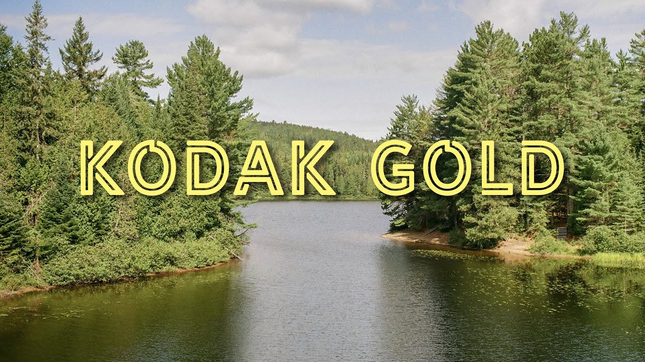 Shooting Kodak Gold in the summer