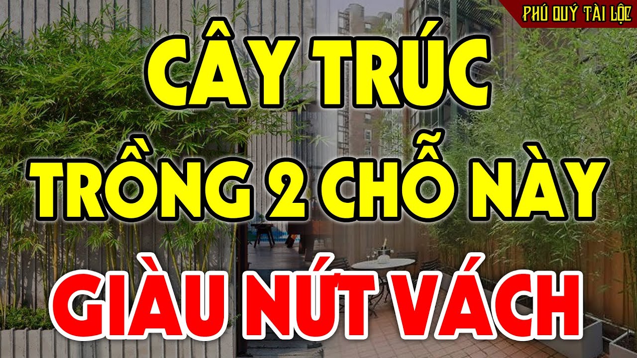 Cứ Trồng CÂY TRÚC Vào 2 Chỗ Này Để HÚT TÀI LỘC VÀO NHÀ, Tiền Vàng Ùn Ùn Kéo Đến Như Nước