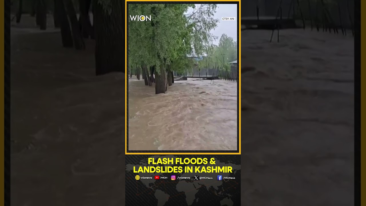 Kashmir Floods: Heavy rainfall triggers flash floods & landslides in Kashmir | WION Shorts