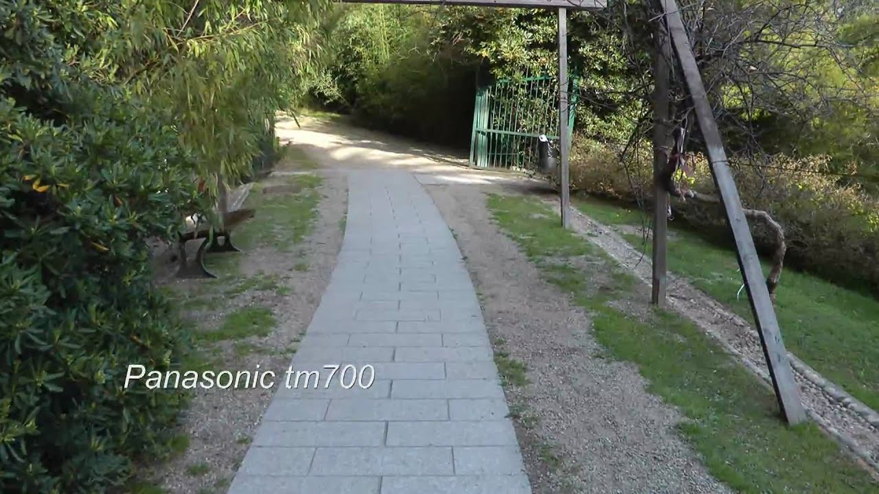 SONY CX550 VS PANASONIC TM700 runing faster