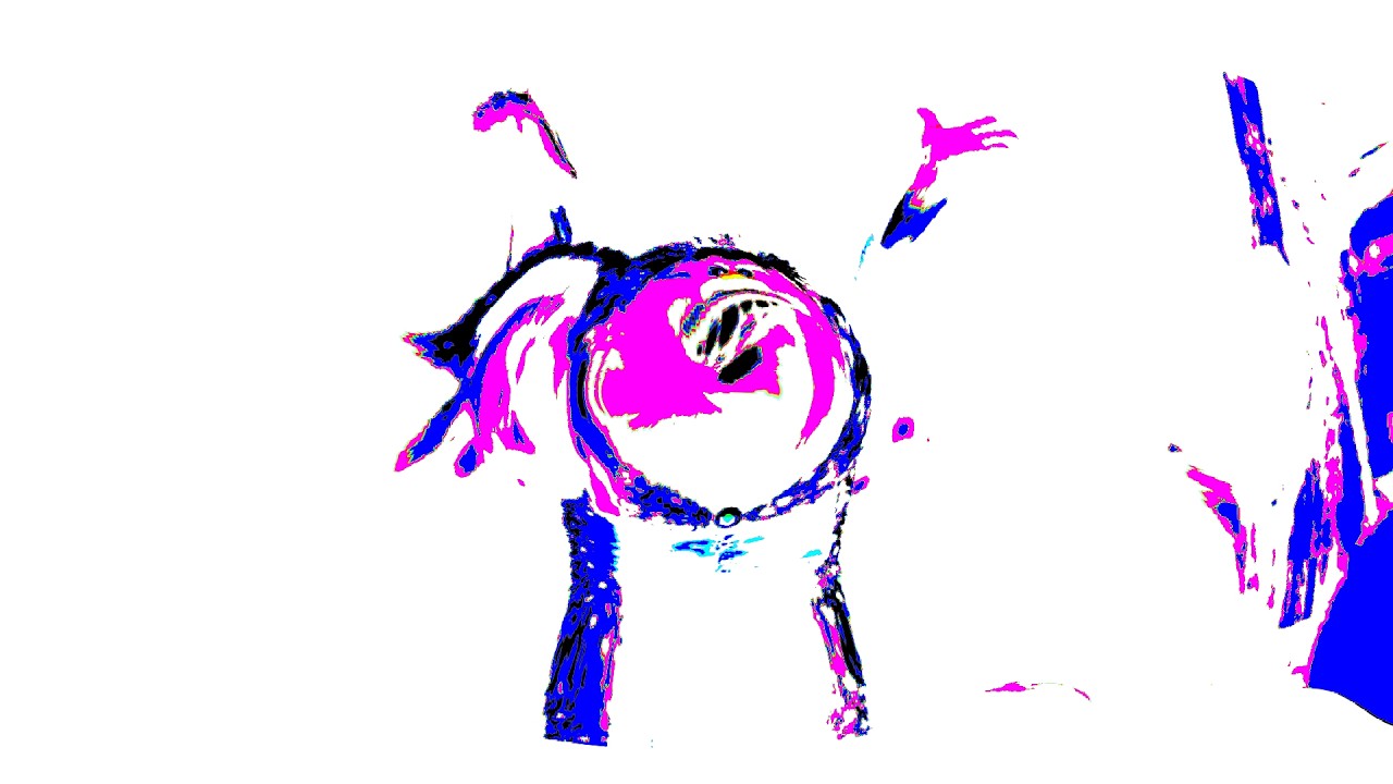 Trollstice a one day to be happy!  - Trolls | Presented By: Klasky Csupo 2001 Effects