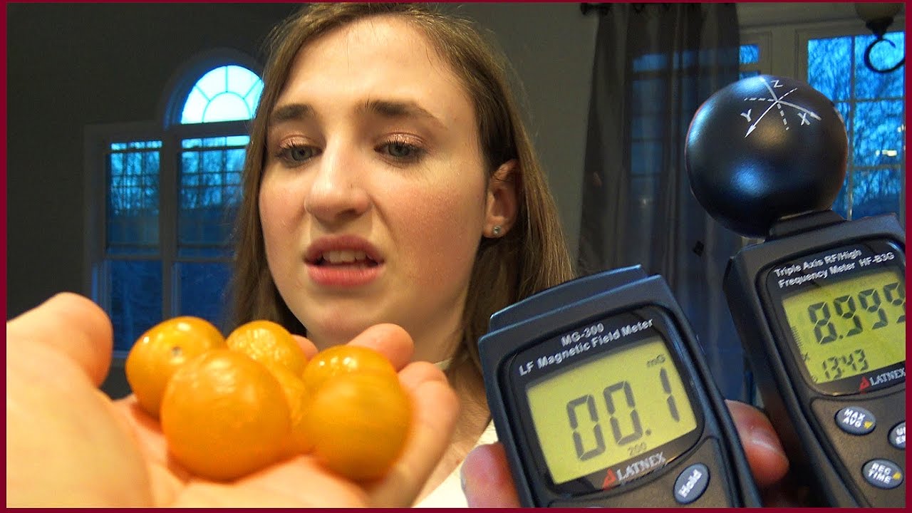 Scary Ghost Hunting Requires Our EMF Detectors - Stinky Berry