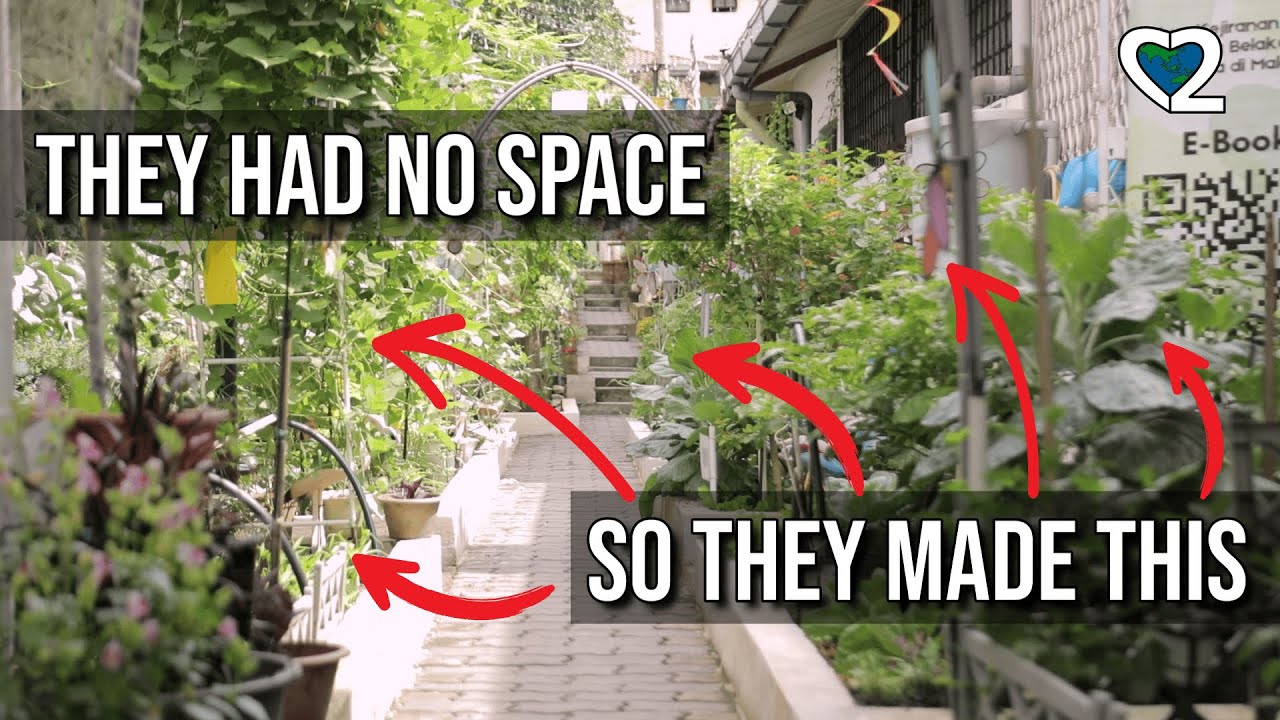 Why Did These Malaysians Build a Back Alley Garden? (SUBTITLES) | Garden8.Malaysia