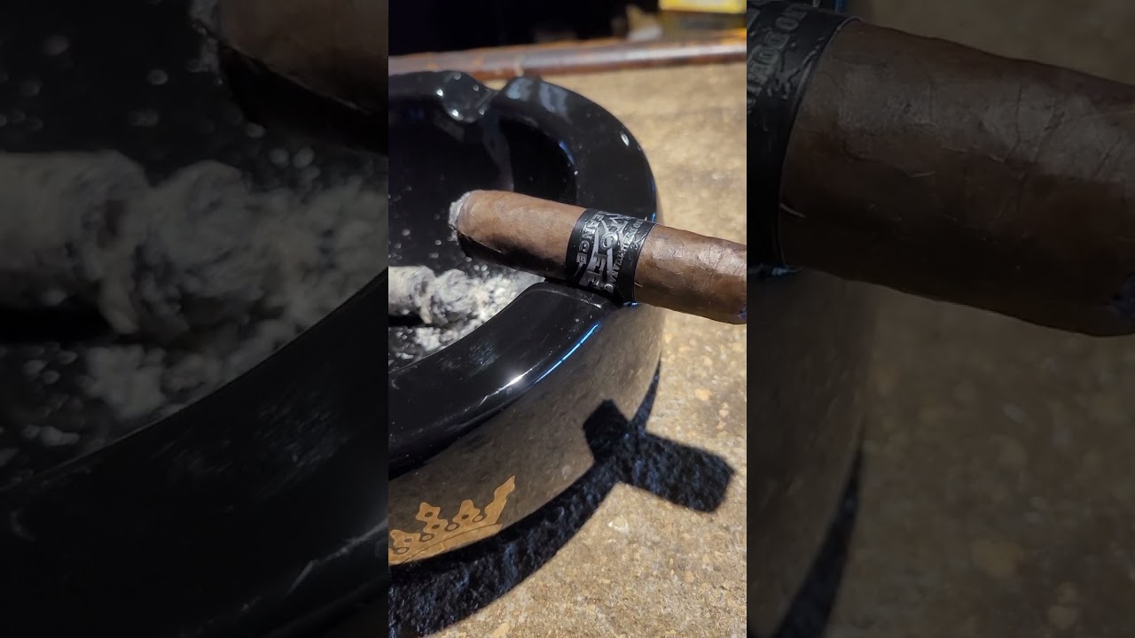 Kristoff Vengeance Toro part 2
