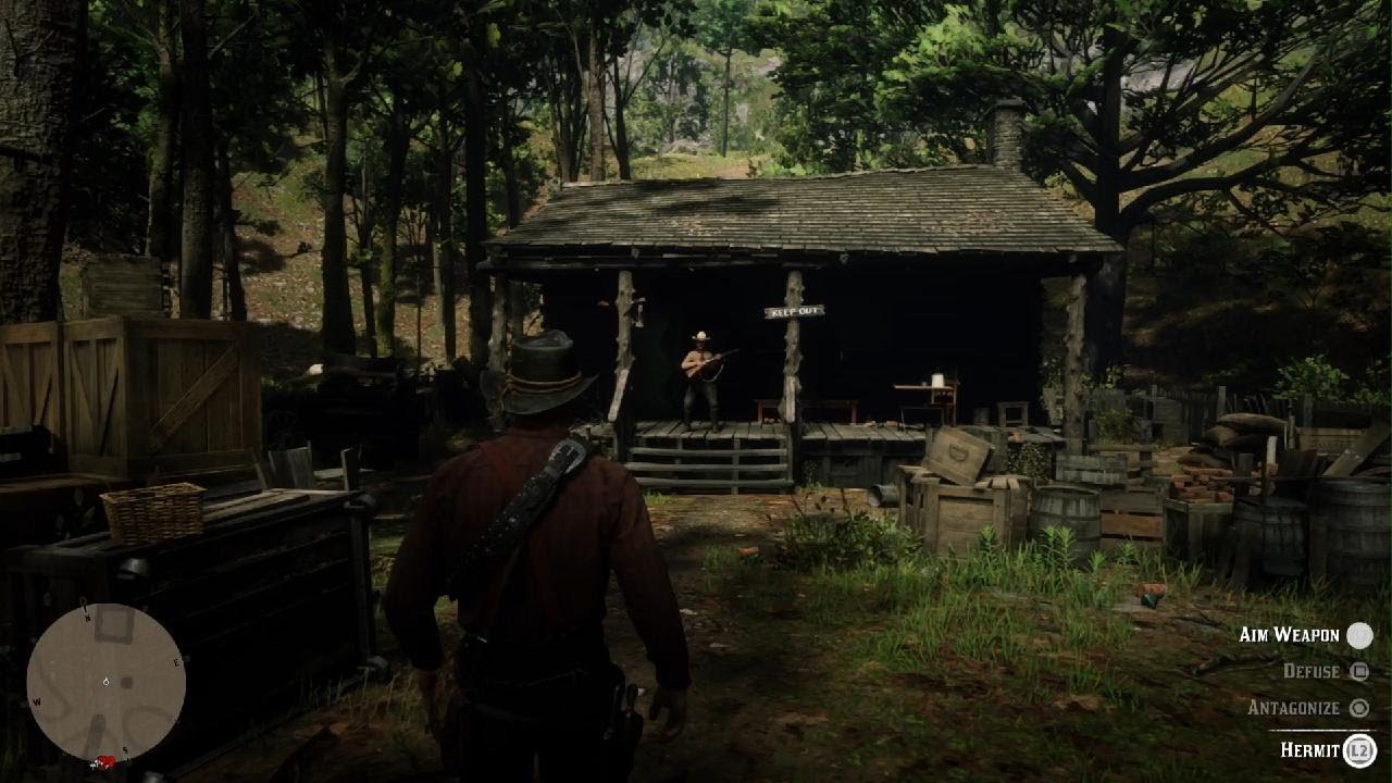 Red Dead Redemption 2 Chapter 4 Part 160 The Hermit