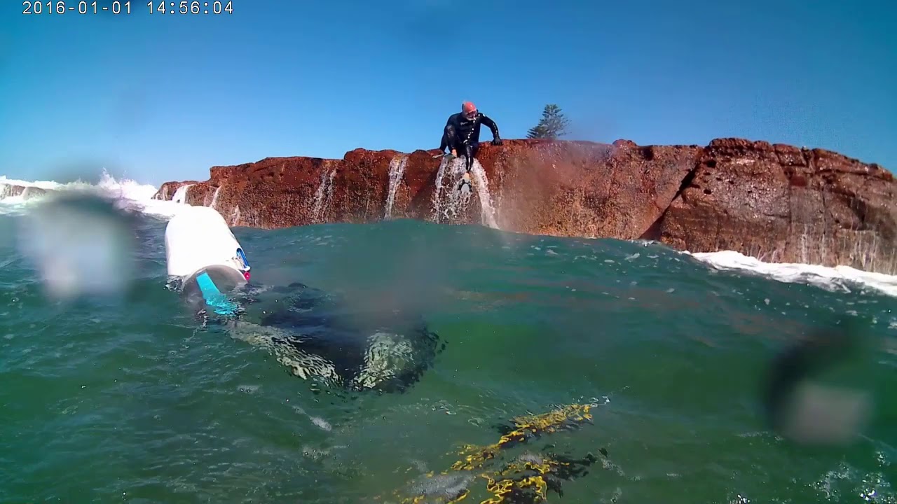 Spearfishing in Bulli