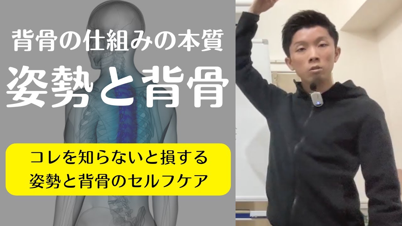 【背骨で知らないと損する本質】「猫背・巻き肩・反り腰」など姿勢改善において超重要！背骨の仕組みからセルフケア方法の考え方を徹底解説！【愛媛県松山市　姿勢・痛み・ピラティス】