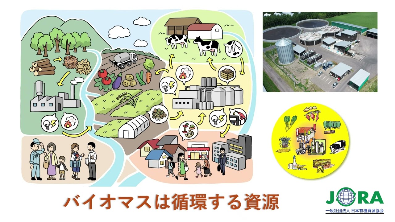 バイオマスは循環する資源（一般向け）