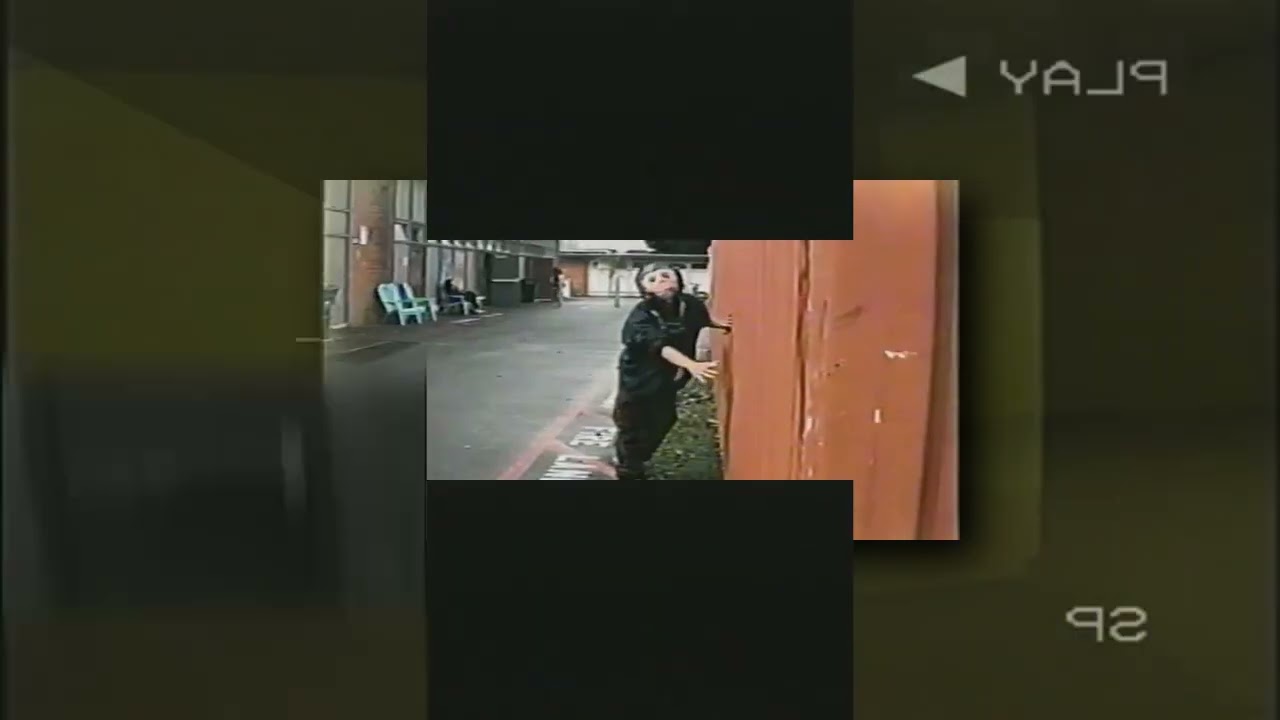 REQUESTED YTPMV The Backrooms Found Footage Shuric Scan