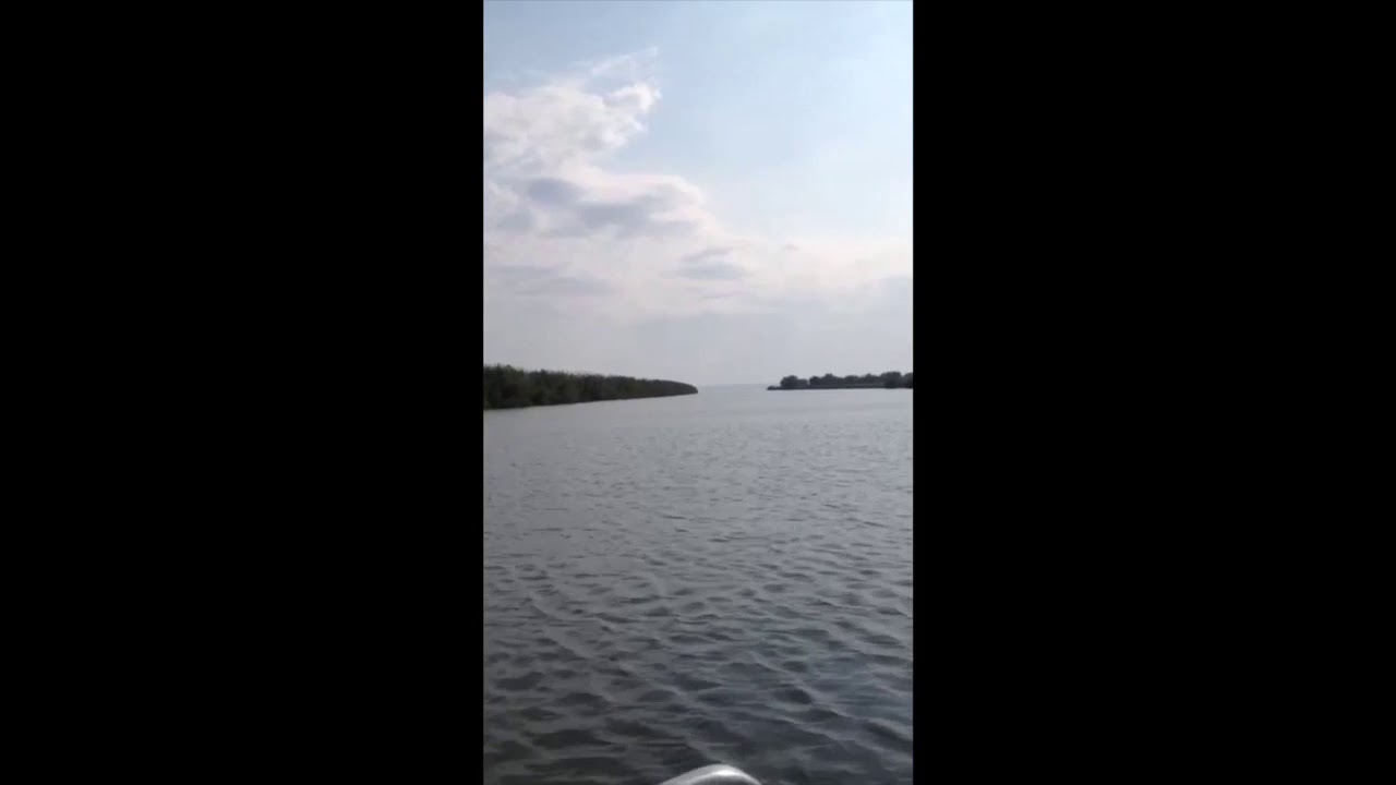 Dniester river and Black sea