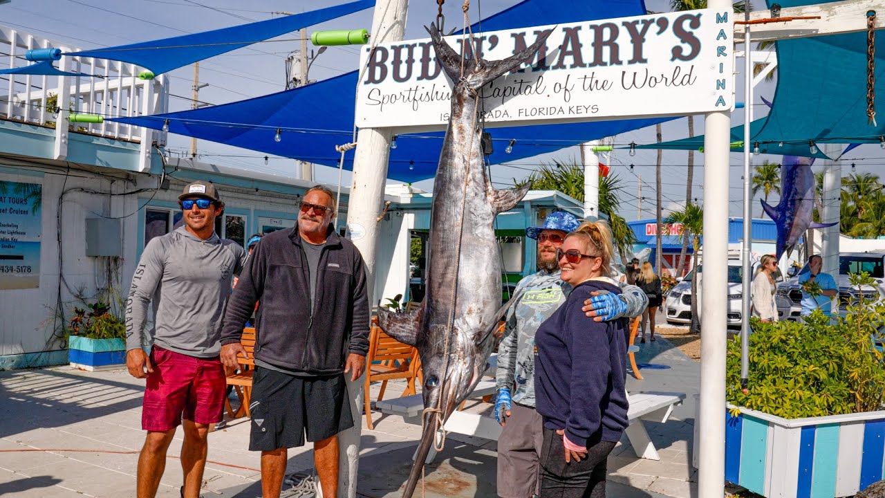 HUGE 227lb Swordfish! - February Fishing Report