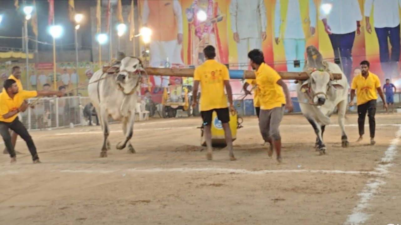 చిలకలూరిపేట సబ్ జూనియర్స్ విభాగం 9వ జత